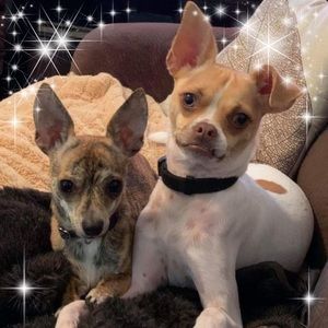 Meet your Posher, Aj